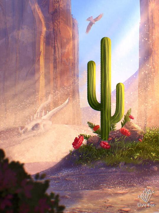 One Day From The Cactus's Life